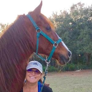 Meet your Posher, Marion